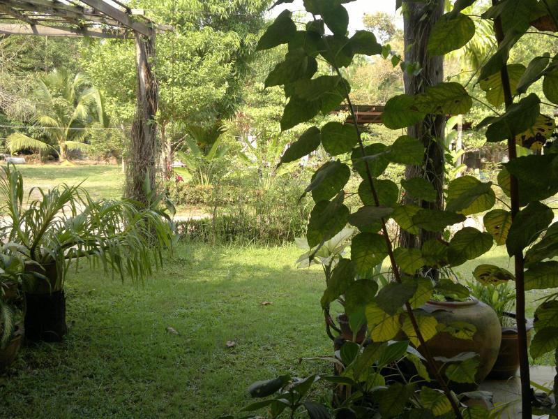 The Mangrove Hideaway Kohchang Koh Chang Exterior foto