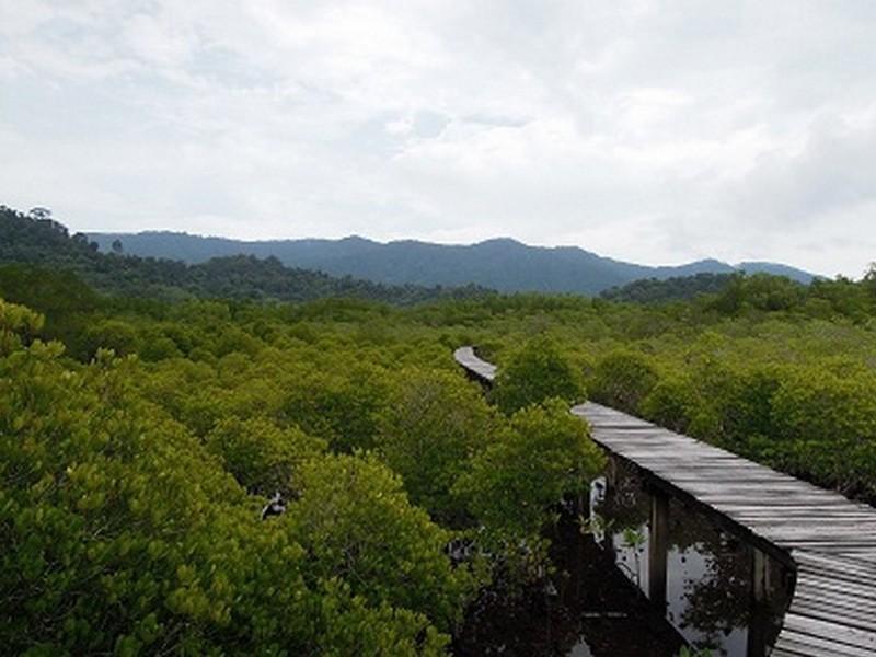 The Mangrove Hideaway Kohchang Koh Chang Exterior foto